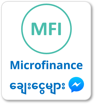 MFI Microfinance Loans