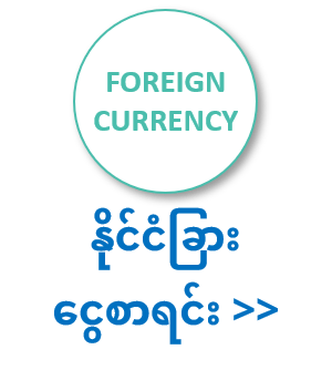 Find Foreign Currency Accounts